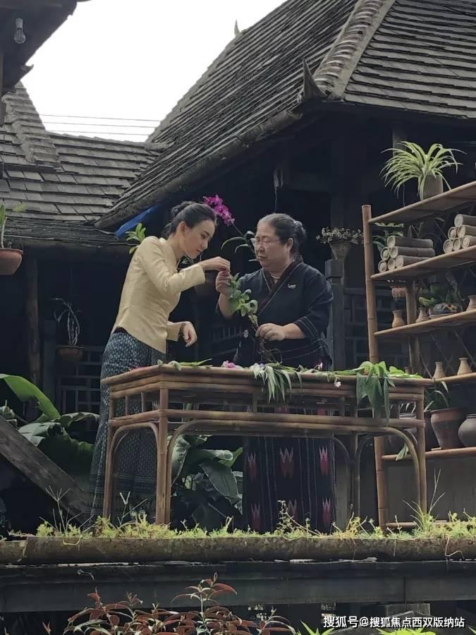 为什么分手后我会想你?-专业知识问答网页